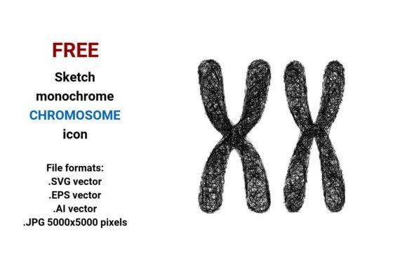 FREE Sketch Chromosome Icon for Graphics and Freebies