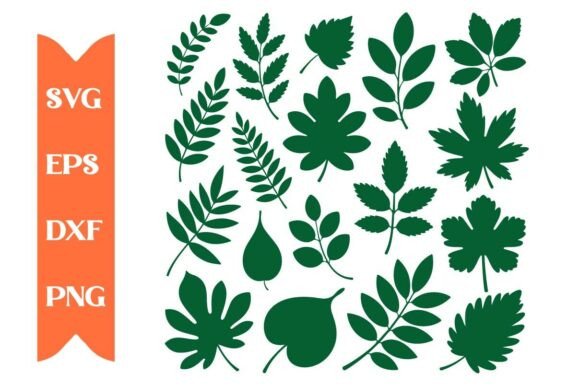 Maple Leaf Silhouette SVG Bundle for Crafts and Graphics